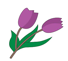 郁金香花束圖片