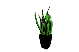 植物模型圖片