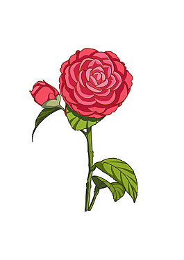 茶花卡通海報