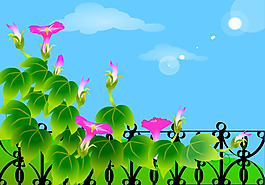 牽牛花生長flash