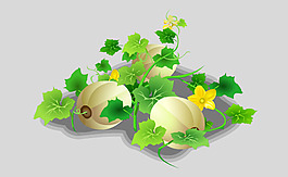 南瓜园种植flash