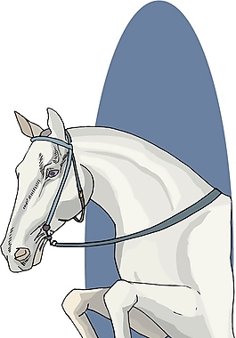 馬