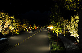 迎賓路夜景照明亮化效果圖
