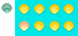 ui貝殼icon