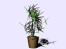 綠色植物模型圖片