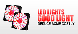 LED燈海報(bào)圖片