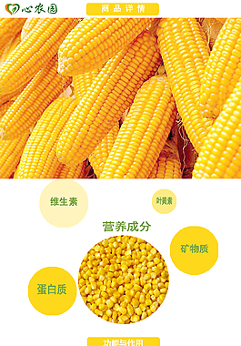 蔬菜玉米淘寶設(shè)計(jì)