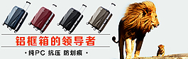 淘寶鉆展