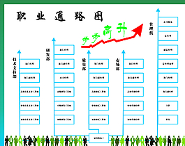 職業通路圖 職業晉升圖片