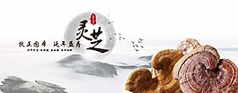 靈芝banner
