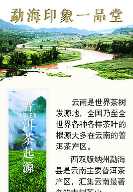 一品堂普洱茶详情页