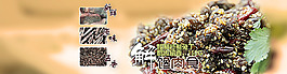 淘寶海報(bào)