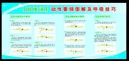 自由泳動作圖解
