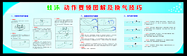 蛙泳動作圖解