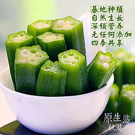 秋葵淘寶直通車圖