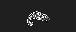 變色龍logo圖片