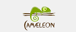 變色龍logo圖片