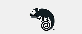 變色龍logo圖片