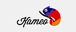 變色龍logo圖片