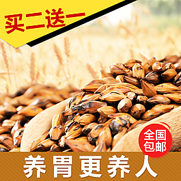 茶主圖大麥茶