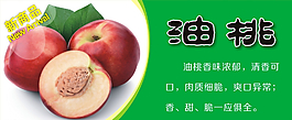 油桃圖片