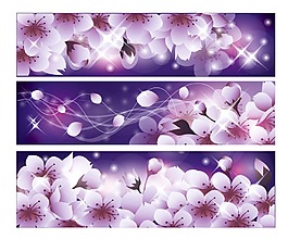 柔美樱花横式banner