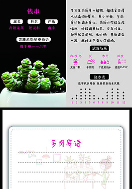 錢串多卡片