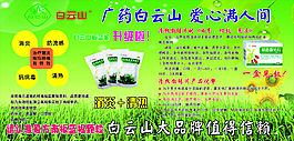 廣藥白云山