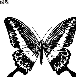 蝴蝶圖片