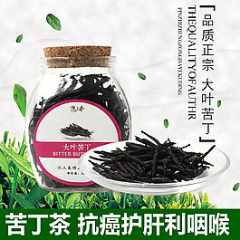 苦丁茶 主圖