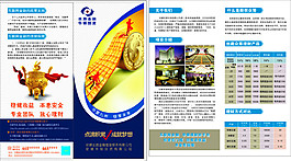 兩折頁(yè)