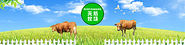 畜牧業網頁banner