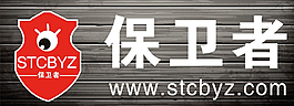 保卫者标志图片