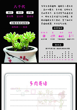 八千代多肉卡片
