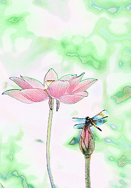 荷花水墨画