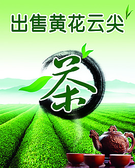 茶葉海報
