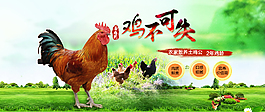 公雞