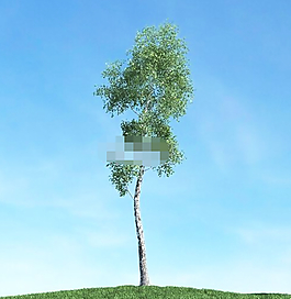 樹3d模型