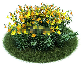 園林植物百合花3d模型下載