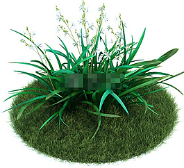 园林植物多枝花篱3d模型下载