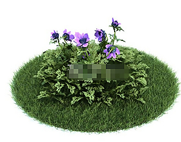 园林植物冠状银莲花罂粟秋牡丹3d模型下载