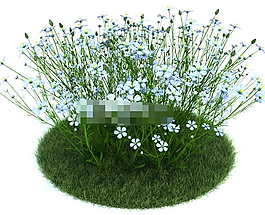 園藝花草亞麻黑麥草3d模型下載