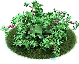 園林植物模型下載