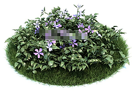 园艺花草长春花3d模型下载
