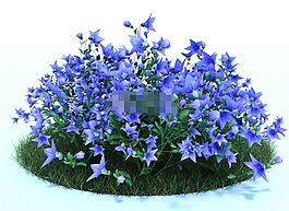園林植物桔?；?d模型下載