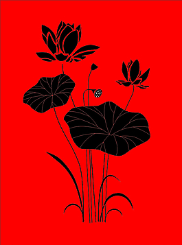 荷花圖片