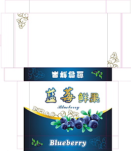 蓝莓盒子图片