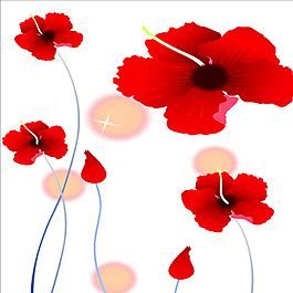 推拉門 紅花 花朵圖片
