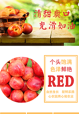 水果油桃淘寶設(shè)計(jì)