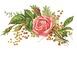 花卉